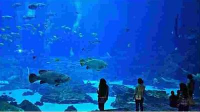 अखेर मुंबईतील मत्स्यालयाचा मार्ग मोकळा, दुग्धशाळा आरे वसाहतीमध्ये होणार स्थलांतरीत!