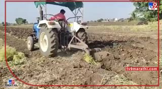 Latur Market : सोयाबीन-हरभरा आवकमध्ये सातत्य, आठवड्याच्या पहिल्या दिवशीचे दर काय ?