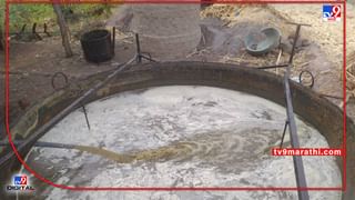 Bhandara : पीक पध्दतीमध्ये बदल, धान शेतीला मकाचा उत्तम पर्याय, कमी खर्चात अधिकचे उत्पादन