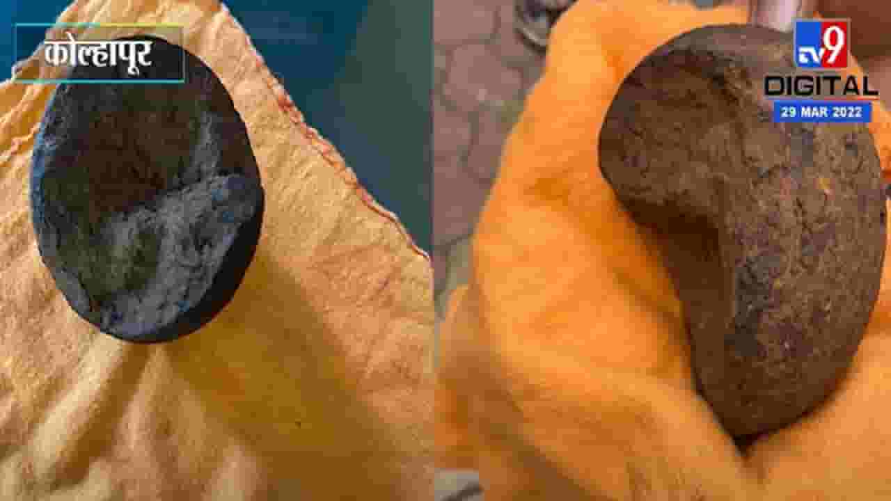 पन्हाळा किल्ल्याच्या तटबंदीत आढळले ब्रिटीशकालीन तोफगोळे