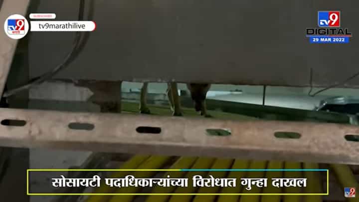 Borivali | माणुसकीला काळिमा फासणारा प्रकार, भिंत रचून कुत्र्यांना जिवंत गाडलं Borivali | माणुसकीला काळिमा फासणारा प्रकार, भिंत रचून कुत्र्यांना जिवंत गाडलं