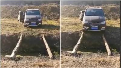 Inspirational : संकटकाळात मार्ग सापडत नाही? हा Video पाहा, आयुष्याच्या वाटेवर नक्कीच ठरेल उपयोगी