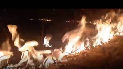 Chandrapur : जगातल्या सर्वाधिक तिसऱ्या क्रमांकाच्या उच्च तापमानाची नोंद महाराष्ट्रात, का जळतंय चंद्रपूर ?