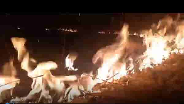 Chandrapur : जगातल्या सर्वाधिक तिसऱ्या क्रमांकाच्या उच्च तापमानाची नोंद महाराष्ट्रात, का जळतंय चंद्रपूर ?