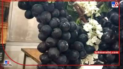 Grape : कृषी विभागामुळे द्राक्ष निर्यातीची नोंदणी वाढली पण निसर्गाने सर्व डावच मोडला, हंगामाच्या अंतिम टप्प्यात काय आहे चित्र?