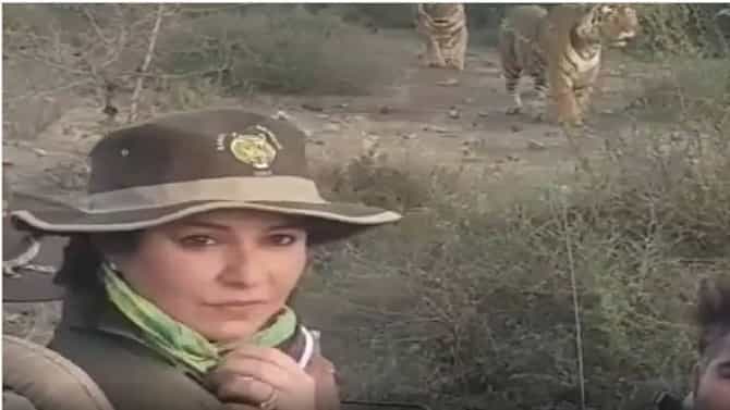 Anjali Tendulkar: सरिस्कामधील आग विझवण्याऐवजी अधिकाऱ्यांची अंजलीसोबत जंगल सफारी, फोटोही व्हायरल