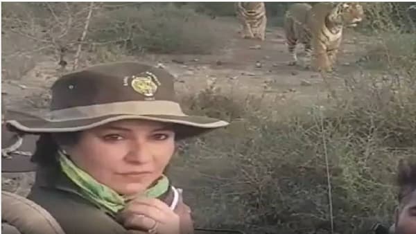 Anjali Tendulkar: सरिस्कामधील आग विझवण्याऐवजी अधिकाऱ्यांची अंजलीसोबत जंगल सफारी, फोटोही व्हायरल