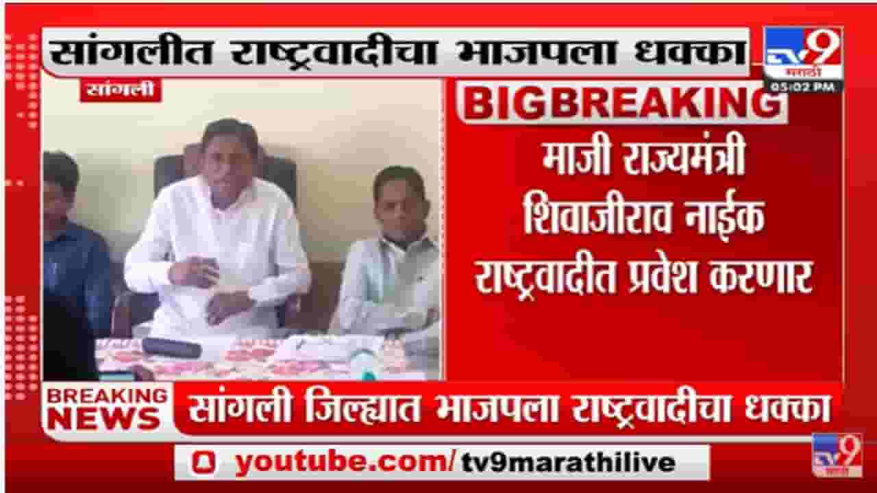 सांगलीत भाजपचा करेक्ट कार्यक्रम, शिवाजीराव नाईक राष्ट्रवादीचं घड्याळ हाती बांधणार