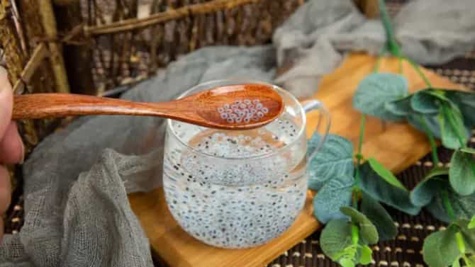 Sabja seeds : जाणून घ्या सब्जाचे आरोग्यदायी फायदे, वाचा महत्वाची माहिती!