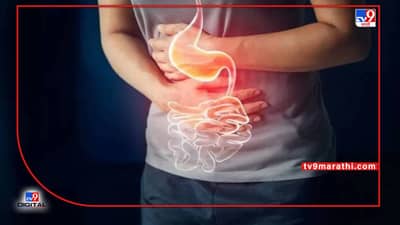 पोटाच्या विकारांपासून राहा दूर... आहारात ‘या’ सुपरफूडचा समावेश करा