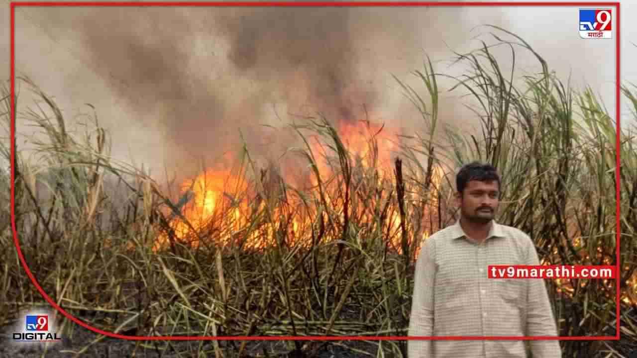 Sugarcane : वर्षभर जोपासलेला ऊस शेतकऱ्यानेच पेटवला..! काडी लावताच फडात कारखान्याची गाडी