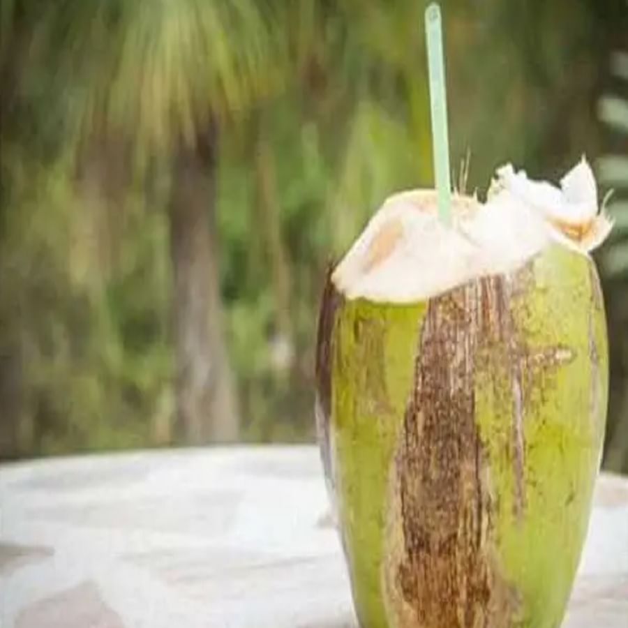 Coconut Water उष्णतेपासून वाचण्यासाठी नारळ पाणी हा सर्वोत्तम उपाय तुम्हाला माहीत आहे का