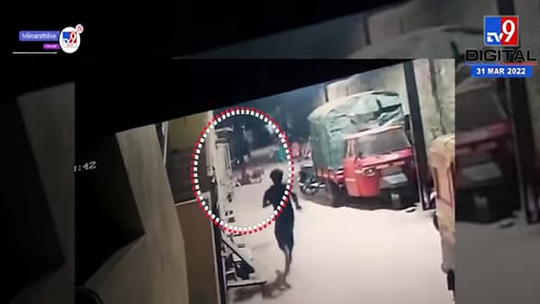 कोल्हापुरात भटक्या कुत्र्यांची दहशत