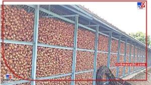 Onion Market : उन्हाळी कांद्याचे उत्पादनही घटले अन् दरही, शेतकऱ्यांसमोर आता एकच पर्याय..!