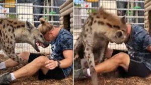 Hyena video viral : एखादी मांजर असल्यासारखं तरसासोबत खेळतोय; लोक म्हणतायत, भीती कशी नाही वाटत?