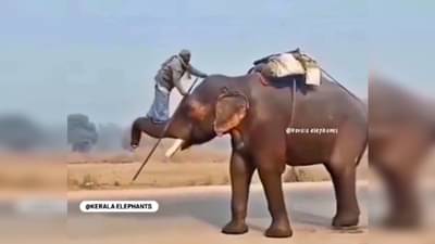 Real Bahubali : कोणाला जमलं नाही ते यानं करून दाखवलं; लोक म्हणाले, हाच खरा बाहुबली, Video viral