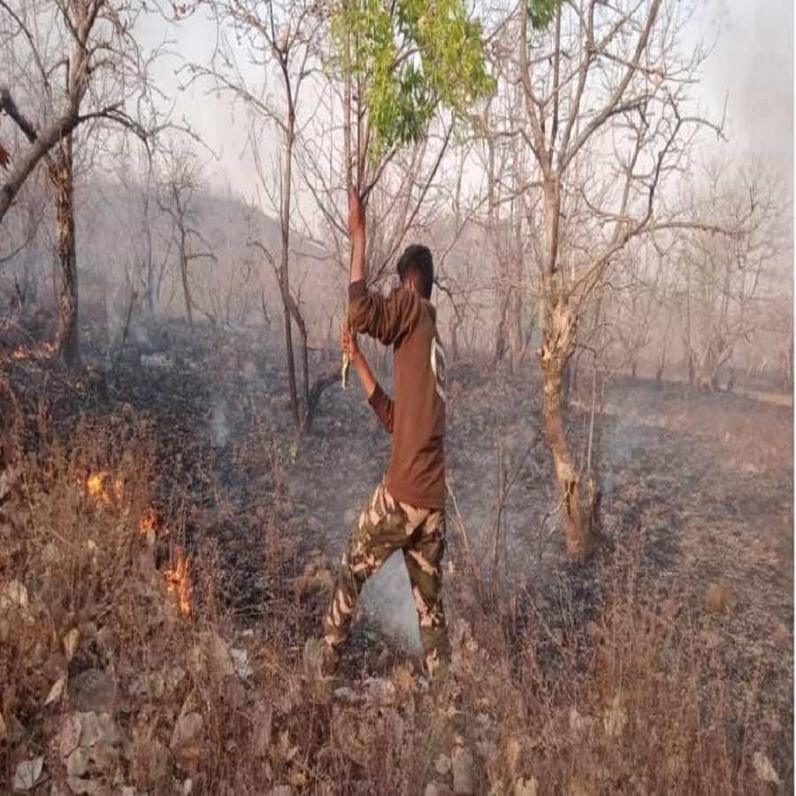 वाशिमवरून पन्नास किलोमीटर अंतरावरील शेंदुरजना जंगलात आग लागली. या आगीत पाच एकर जंगल जळाले. विद्यार्थ्यांनी ही आग विझविण्यासाठी मदत केली.