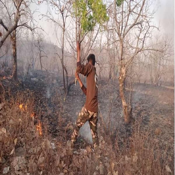 वाशिमवरून पन्नास किलोमीटर अंतरावरील शेंदुरजना जंगलात आग लागली. या आगीत पाच एकर जंगल जळाले. विद्यार्थ्यांनी ही आग विझविण्यासाठी मदत केली.
