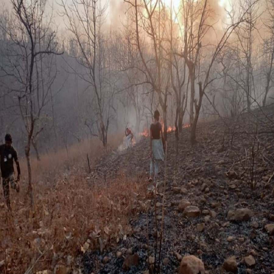 ग्रामस्थांच्या मदतीनं आग विझविण्यासाठी प्रयत्न करण्यात आले. जंगली प्राण्यांच्या जीवित्वास झाला धोका निर्माण झाला आहे. तीन तासांनंतर ही आग विझवली. पाच एकर जंगल जळून खाक झालं.  
