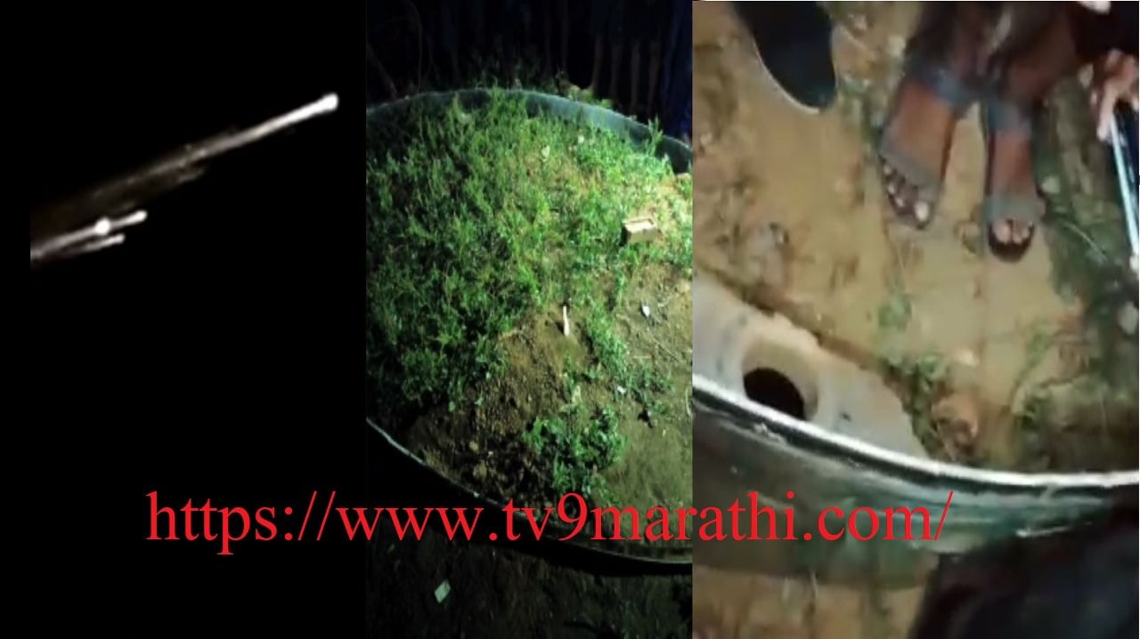 Meteor Showers or Satellite Video: ऐन गुढीपाडव्याच्या रात्री विदर्भ, उत्तर महाराष्ट्रात उल्कावर्षाव, चंद्रपूर, वाशिम, अकोल्यातले व्हिडीओ वेगानं पसरले Meteor Showers or Satellite Video: ऐन गुढीपाडव्याच्या रात्री विदर्भ, उत्तर महाराष्ट्रात उल्कावर्षाव, चंद्रपूर, वाशिम, अकोल्यातले व्हिडीओ वेगानं पसरले