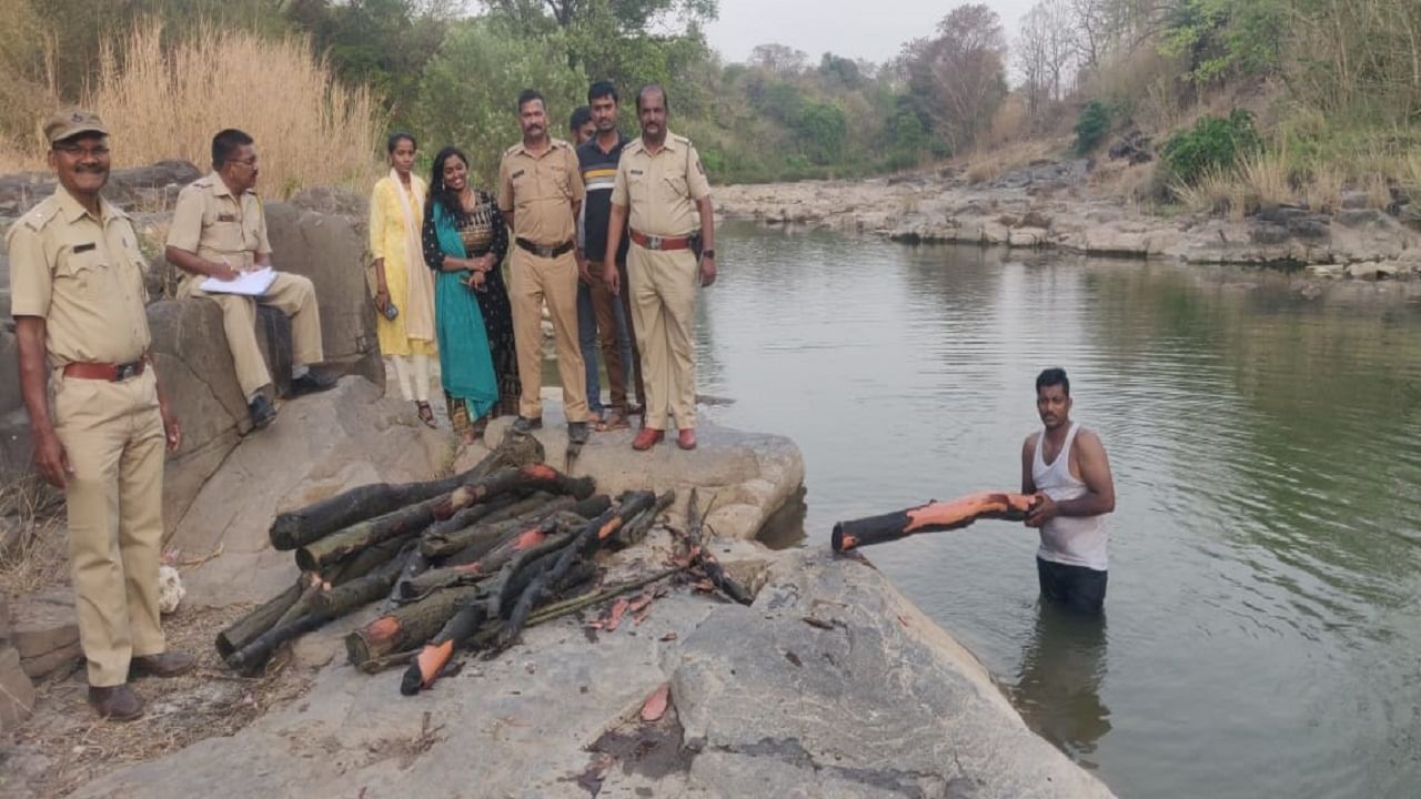 Sandalwood Smuggler : भोर तालुक्यात नदीपात्रात आढळले चंदनाचे ओंडके, पोलिसांकडून भोरच्या पुष्पाचा शोध सुरू