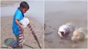 ...अखेर गळाला लागलाच! मासे पकडण्यासाठी काय अफलातून युक्ती केलीय चिमुरड्यानं! 'हा' Jugaad video पाहाच