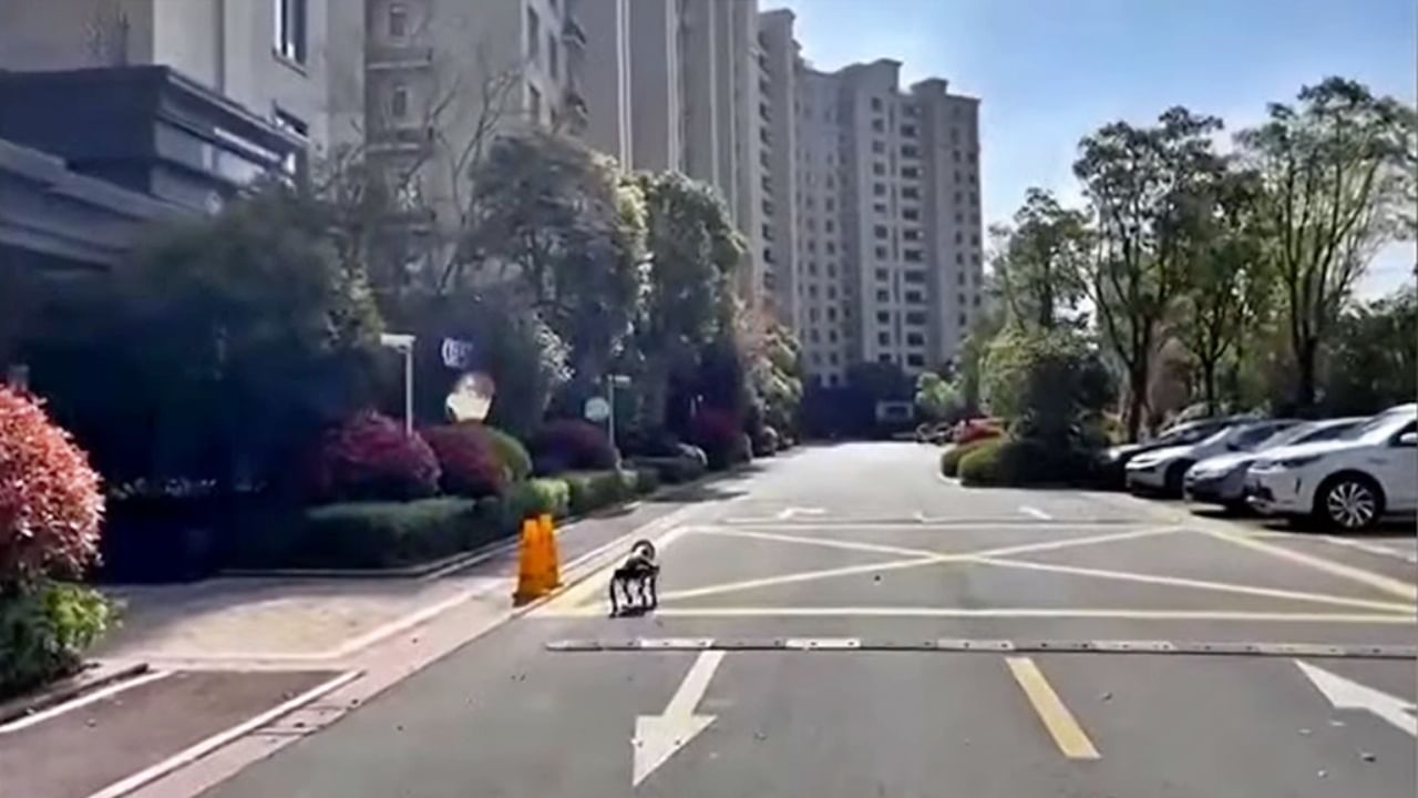 Chinese robotic dog : भयाण शांतता... रस्त्यावर चिटपाखरुही नाही, अशा निर्मनुष्य रस्त्यांवर काय करतोय 'हा' कुत्रा? Chinese robotic dog : भयाण शांतता... रस्त्यावर चिटपाखरुही नाही, अशा निर्मनुष्य रस्त्यांवर काय करतोय 'हा' कुत्रा?