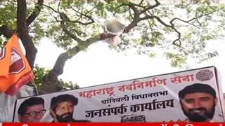 Raj Thackeray वर बोलू नका असदुद्दीन ओवेसीचा फतवा, एमआयएम कार्यकर्त्यांना फर्मान; इम्तियाज जलील यांची माहिती