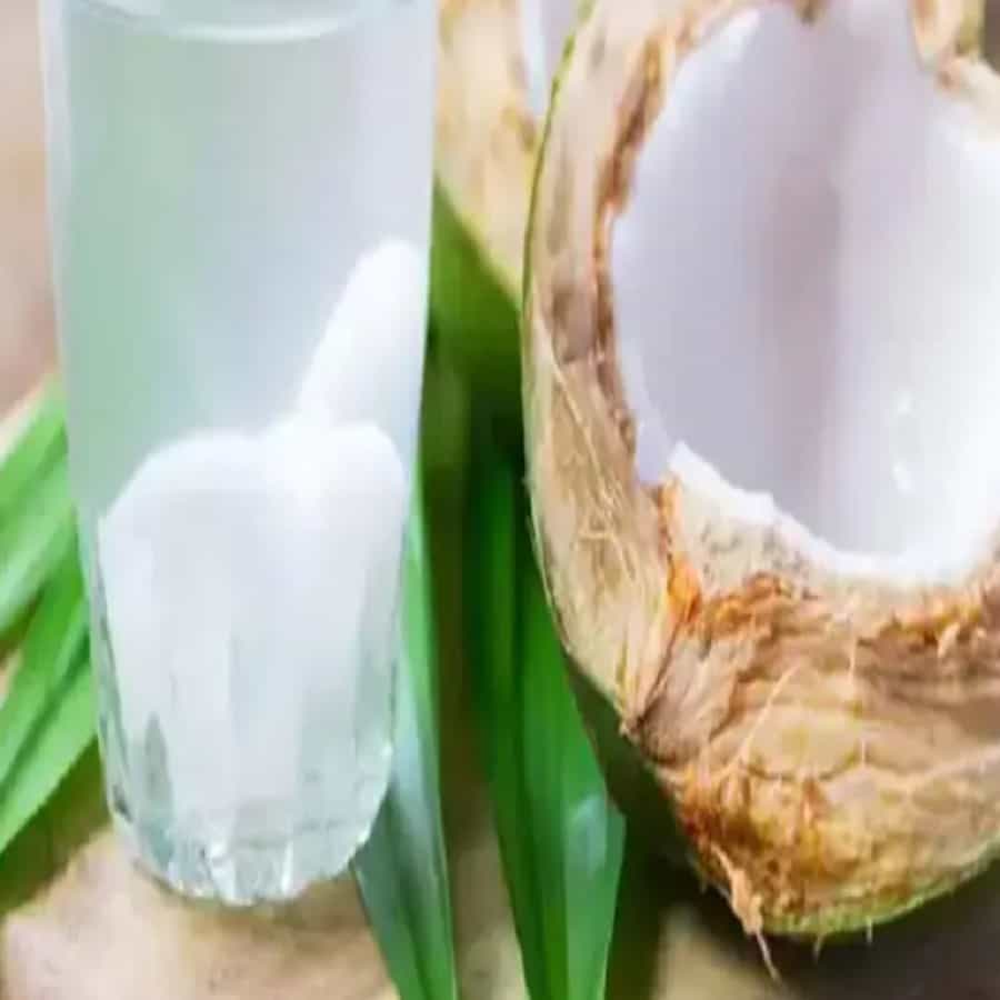 पिंपल्स: नारळपाणी प्यायल्याने त्वचा निरोगी ठेवता येते, पण ते लावल्याने चेहऱ्यावरील पिंपल्स दूर होतात. यासाठी नारळाच्या पाण्यात कापूस भिजवून काही वेळ पिंपल्सवर ठेवा.