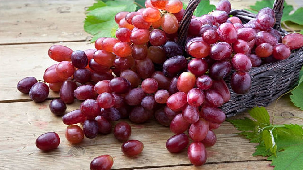 Red Grapes : लाल द्राक्ष चेहऱ्यासाठी प्रचंड लाभदायी, जाणून घ्या फायदे...