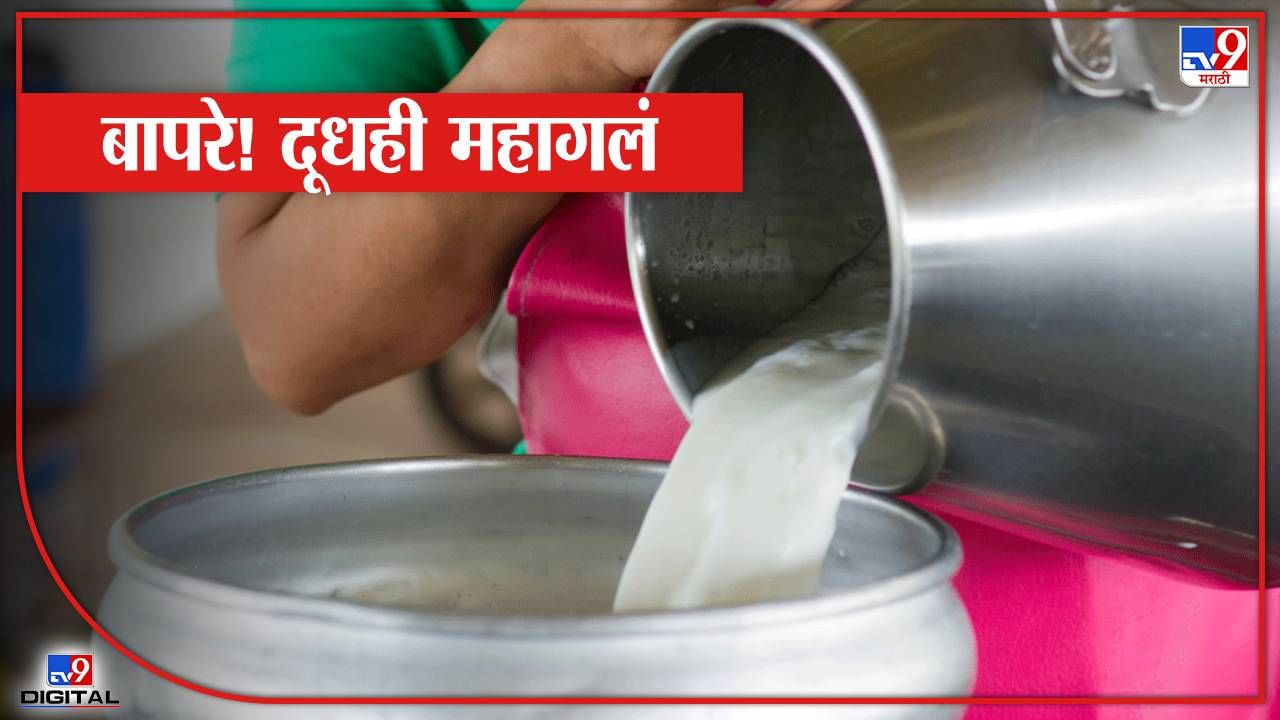 Milk Rate : शेतकऱ्यांसाठी आनंदवार्ता, गायीच्या पाठोपाठ म्हशीच्या दूध दरातही वाढ, वाढत्या उन्हाचा काय परिणाम? Milk Rate : शेतकऱ्यांसाठी आनंदवार्ता, गायीच्या पाठोपाठ म्हशीच्या दूध दरातही वाढ, वाढत्या उन्हाचा काय परिणाम?