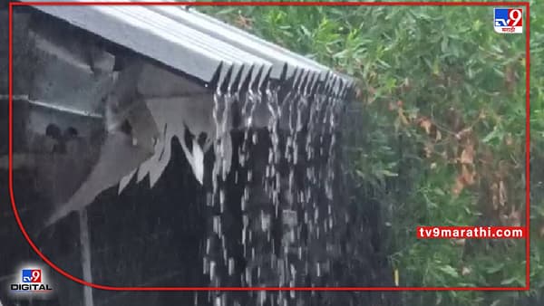 Weather Report: निसर्गाचा लहरीपणा आणखी 2 दिवस, कोकण - मराठवाड्यात अवकाळी, विदर्भात मात्र अंगाची लाहीलाही