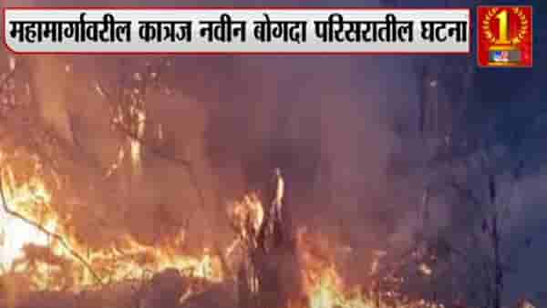 Video : ही रोषणाई नाही! कात्रज बोगद्याजवळच्या डोंगरावर भीषण वणवा, पीकांसह फळंही खाक
