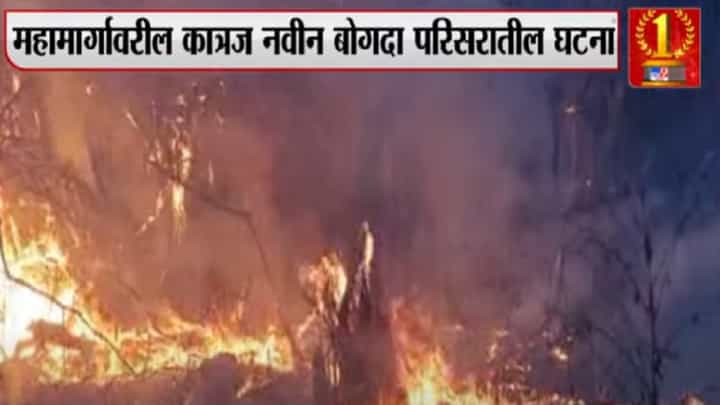 Video : ही रोषणाई नाही! कात्रज बोगद्याजवळच्या डोंगरावर भीषण वणवा, पीकांसह फळंही खाक Video : ही रोषणाई नाही! कात्रज बोगद्याजवळच्या डोंगरावर भीषण वणवा, पीकांसह फळंही खाक