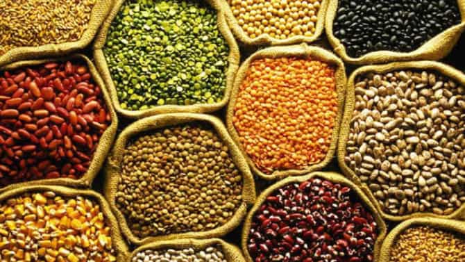 Summer Diet : उन्हाळ्यात निरोगी राहण्यासाठी या डाळींचा आहारात समावेश करा!