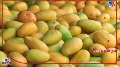 EXport : फळपिकांच्या निर्यातीसाठी मराठवाड्यात उभारल्या जाणार पायाभूत सुविधा,कृषी विभागाचे नेमके धोरण काय?