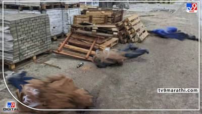 रशियाच्या क्रुरतेचा कळस; बूचा शहरात मृतदेहांचा खच, महिलांवर बलात्कार करुन गोळ्या घातल्या