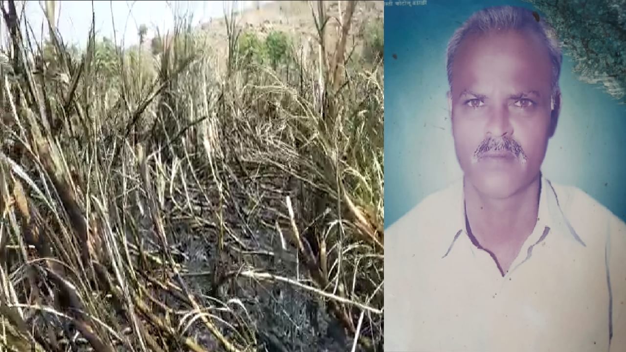 Farmer Death | ऊसाच्या शेतातील आग विझवण्याचा प्रयत्न, शेतकऱ्याचा होरपळून मृत्यू