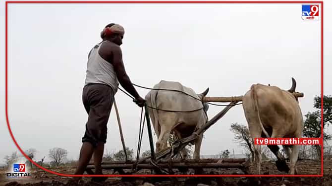 Loan Waiver : नाबार्ड चा धक्कादायक अहवाल, कर्जमाफीमुळेच शेतकरी कर्जबाजारी, नेमकी काय आहेत कारणे ?