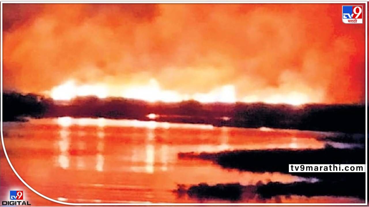 Nashik fire | महाराष्ट्राचे भरतपूर धोक्यात; नांदूर मधमेश्वर अभरयारण्यात अग्नीकल्लोळ, हजारो पाखरांचा जीव टांगणीला