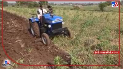 Onion Rate: कांदा दारचा लहरीपणा शेतकऱ्यांच्या मुळावर, 3 एकरावरील उभ्या पिकावर फिरवला नांगर