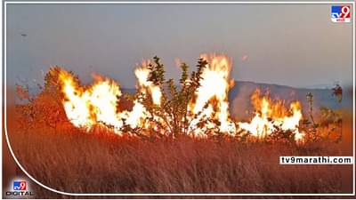 Video : पुन्हा वणवा..! जुन्नरमधल्या राजुरात अज्ञातांनी लावली आग, गैरसमजुतीतून होतायत प्रकार; काय प्रकरण? वाचा...