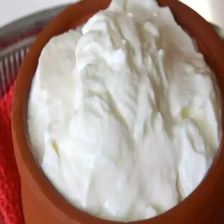 दह्यासोबत आंब्यासारखे कोणतेही फळ खाणे टाळावे का? तज्ञांच्या मते, या स्थितीत अनेक आरोग्य समस्या तुम्हाला त्रास देऊ शकतात, ज्यामध्ये ऍलर्जी, विष आणि सर्दी यासारख्या समस्यांचा समावेश आहे. (वरील माहिती सामान्य ज्ञानावर आधारित आहे, tv9 याबद्दल कोणताही दावा करत नाही)