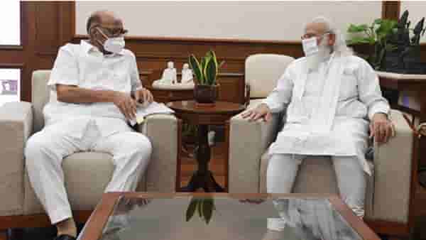 Sharad Pawar : केंद्रीय तपास यंत्रणा मातोश्रीपर्यंत पोहोचल्या म्हणून तुम्ही मोदींना भेटलात? पवार म्हणतात, नाही नाही...