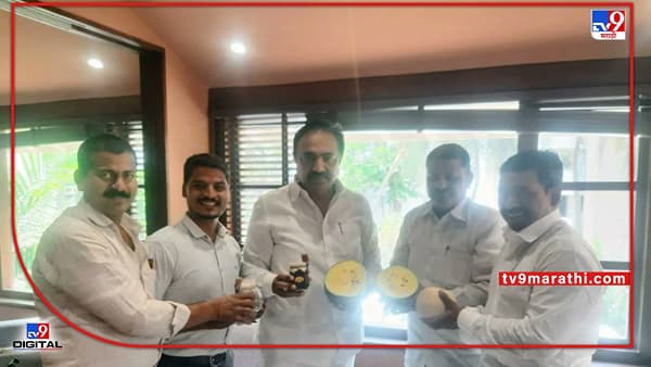 Yellow Watermelon : जे जे नवं ते बारामतीकरांना हवं, पिवळे कलिंगड पाहून काय म्हणाले मंत्री जयंत पाटील?