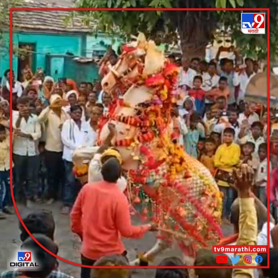 मागिल दोन वर्ष कोरोनाचे संकट असल्याने सणांवर त्याच प्रमाणे देवस्थांनावर बंधने आणण्यात आली होती. कोरोना निर्बंध कमी केल्यानंतर दोन वर्षांनंतर नांदेडमध्ये संत बाळूमामाच्या पालखीचा सोहळा चांगलाच रंगलाय.