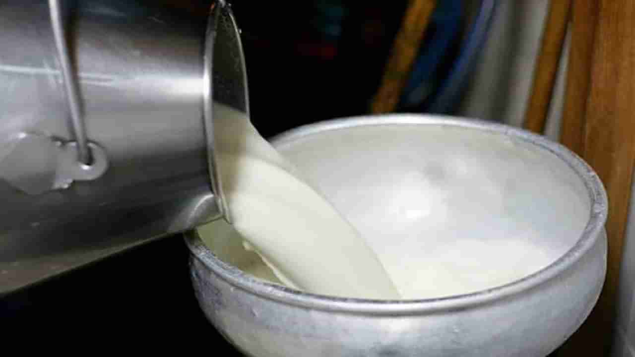 Milk Price : वाढलेल्या दुधाच्या दरात मिठाचा खडा, केंद्राचे धोरण की दूध पावडरच्या किंमतीचा परिणाम!