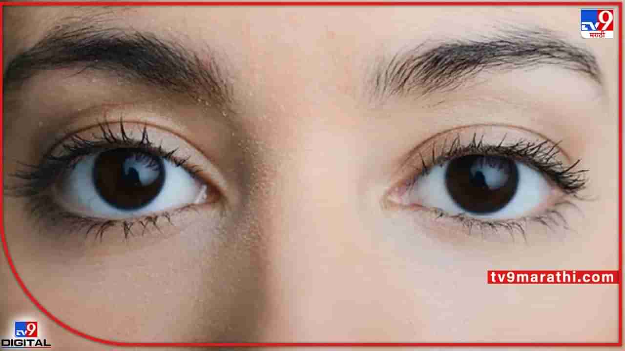 Eye care: वाढत्या वयातही ‘या’ चार पध्दतीने डोळ्यांची कार्यक्षमता सुधारा