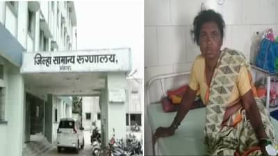 Bhandara Forest | महिला रोहयोच्या कामावर, रानडुकराच्या हल्ल्यात चार महिला जखमी; कोका शिवारातील घटना