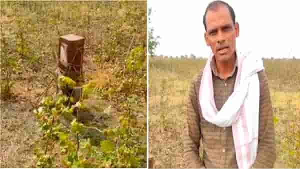 Wardha Mahavitaran | वीजजोडणी नसताना शेतकऱ्याला 20 हजारांचे देयक; पोहणा येथे वीज कंपनीचा मनमानी कारभार